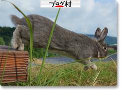 ブログランキング・にほんブログ村へ