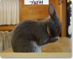 ブログランキング・にほんブログ村へ