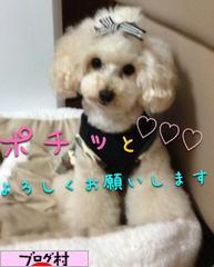 ブログランキング・にほんブログ村へ