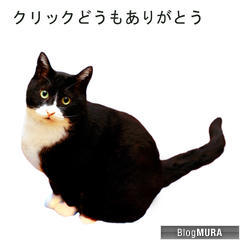 ブログランキング・にほんブログ村へ