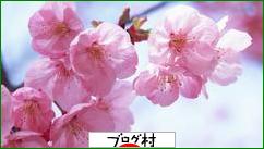 ブログランキング・にほんブログ村へ