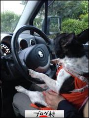 ブログランキング・にほんブログ村へ