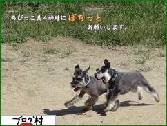 ブログランキング・にほんブログ村へ