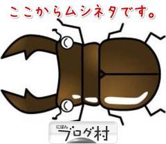 ブログランキング・にほんブログ村へ