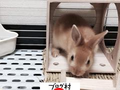 ブログランキング・にほんブログ村へ