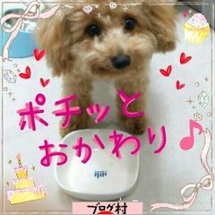 ブログランキング・にほんブログ村へ