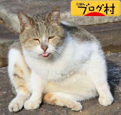 ブログランキング・にほんブログ村へ