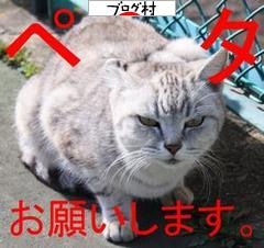 ブログランキング・にほんブログ村へ