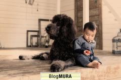 ブログランキング・にほんブログ村へ