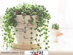 ブログランキング・にほんブログ村へ