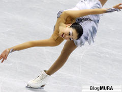 ブログランキング・にほんブログ村へ