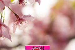 ブログランキング・にほんブログ村へ