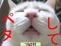 ブログランキング・にほんブログ村へ