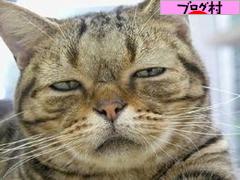 ブログランキング・にほんブログ村へ