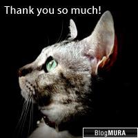 ブログランキング・にほんブログ村へ