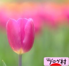 ブログランキング・にほんブログ村へ