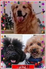 ブログランキング・にほんブログ村へ