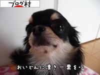 ブログランキング・にほんブログ村へ