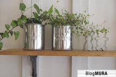 ブログランキング・にほんブログ村へ