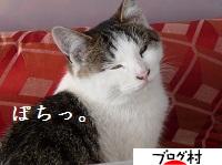 ブログランキング・にほんブログ村へ