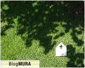 ブログランキング・にほんブログ村へ