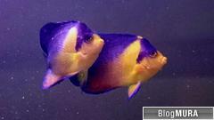 ブログランキング・にほんブログ村へ