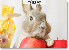 ブログランキング・にほんブログ村へ