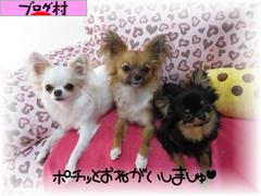 ブログランキング・にほんブログ村へ