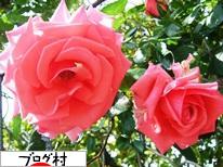 ブログランキング・にほんブログ村へ