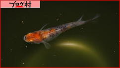 ブログランキング・にほんブログ村へ