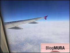 ブログランキング・にほんブログ村へ