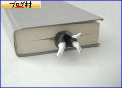 ブログランキング・にほんブログ村へ