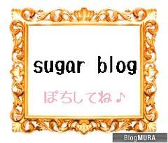 ブログランキング・にほんブログ村へ