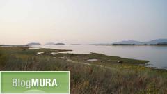 ブログランキング・にほんブログ村へ