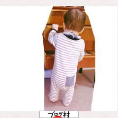 ブログランキング・にほんブログ村へ