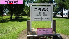 ブログランキング・にほんブログ村へ