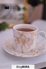 ブログランキング・にほんブログ村へ