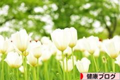 ブログランキング・にほんブログ村へ