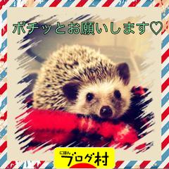 ブログランキング・にほんブログ村へ