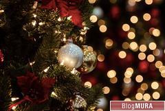 ブログランキング・にほんブログ村へ