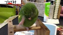 ブログランキング・にほんブログ村へ