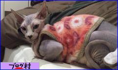 ブログランキング・にほんブログ村へ