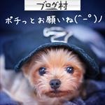 ブログランキング・にほんブログ村へ