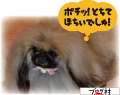 ブログランキング・にほんブログ村へ