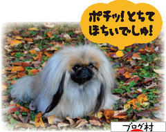 ブログランキング・にほんブログ村へ