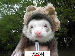 ブログランキング・にほんブログ村へ