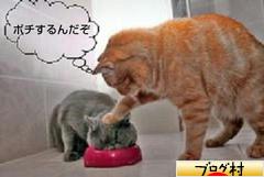 ブログランキング・にほんブログ村へ