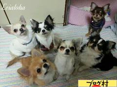 ブログランキング・にほんブログ村へ
