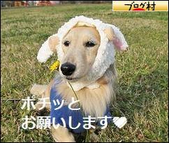 ブログランキング・にほんブログ村へ