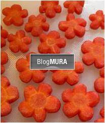 ブログランキング・にほんブログ村へ